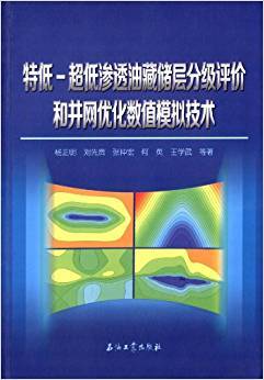 特低-超低渗透油藏储层分级评价和井网优化数值模拟技术