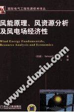 风能原理、风资源分析及风电场经济性