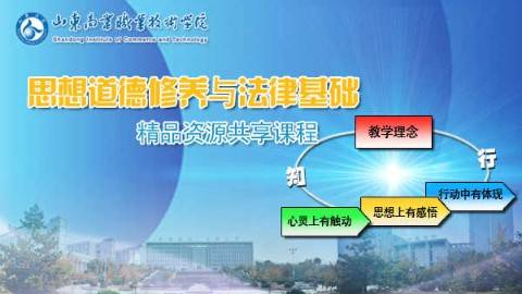 《思想道德修养与法律基础》PPT课件 王岳喜 山东商业职业技术学院