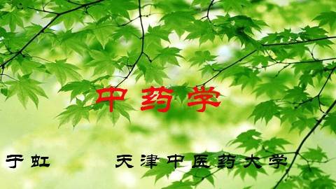 《中药学》PPT课件 于虹 天津中医药大学