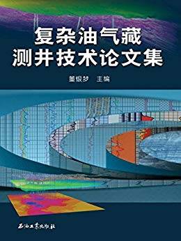 复杂油气藏测井评价技术论文集