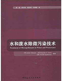 水和废水除微污染技术