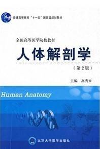 人体解剖学视频教程 王云祥 哈尔滨医科大学