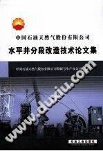 水平井分段改造技术论文集