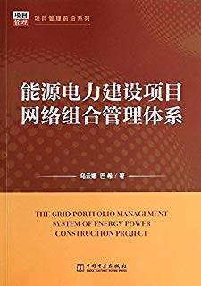 能源电力建设项目网络组合管理体系