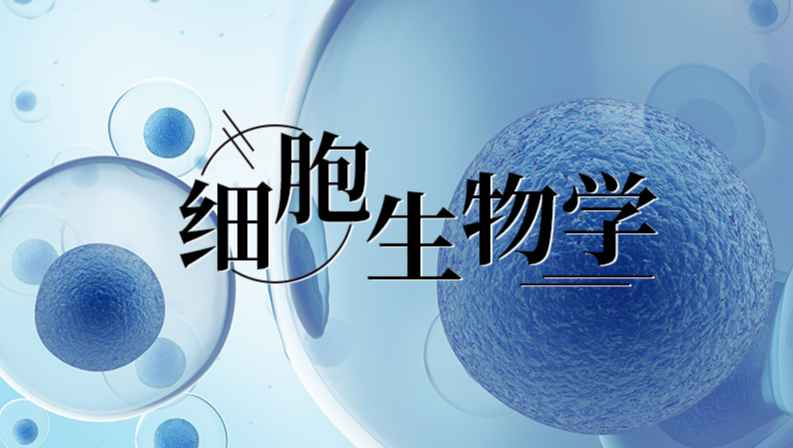 《细胞生物学》PPT课件 魏民  东北师范大学