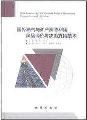 国外油气与矿产资源利用风险评价与决策支持技术