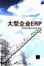 大型企业ERP项目实施与应用分析