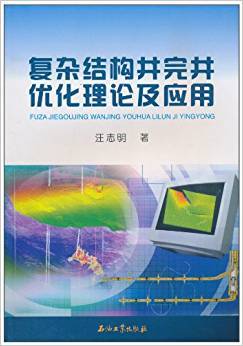 复杂结构井完井优化理论及应用