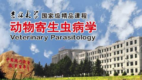 《动物寄生虫病学》PPT课件 张西臣 吉林大学