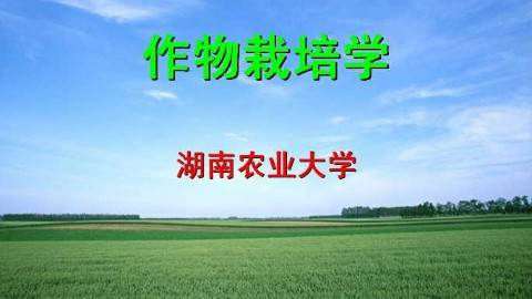 《作物栽培学》PPT课件 官春云 湖南农业大学