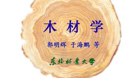 《木材学》PPT课件 郭明辉 东北林业大学