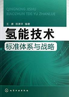 氢能技术标准体系与战略