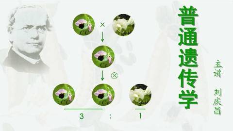 《普通遗传学》PPT课件 刘庆昌 中国农业大学