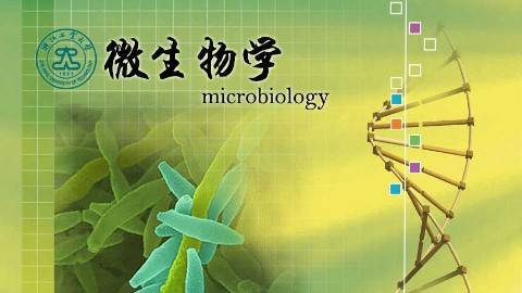 《微生物学》PPT课件 裘娟萍 浙江工业大学