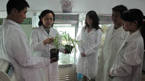 《园林植物昆虫学》PPT课件 尹新明 河南农业大学