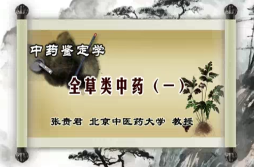 中药鉴定视频教程 张贵君 北京中医药大学