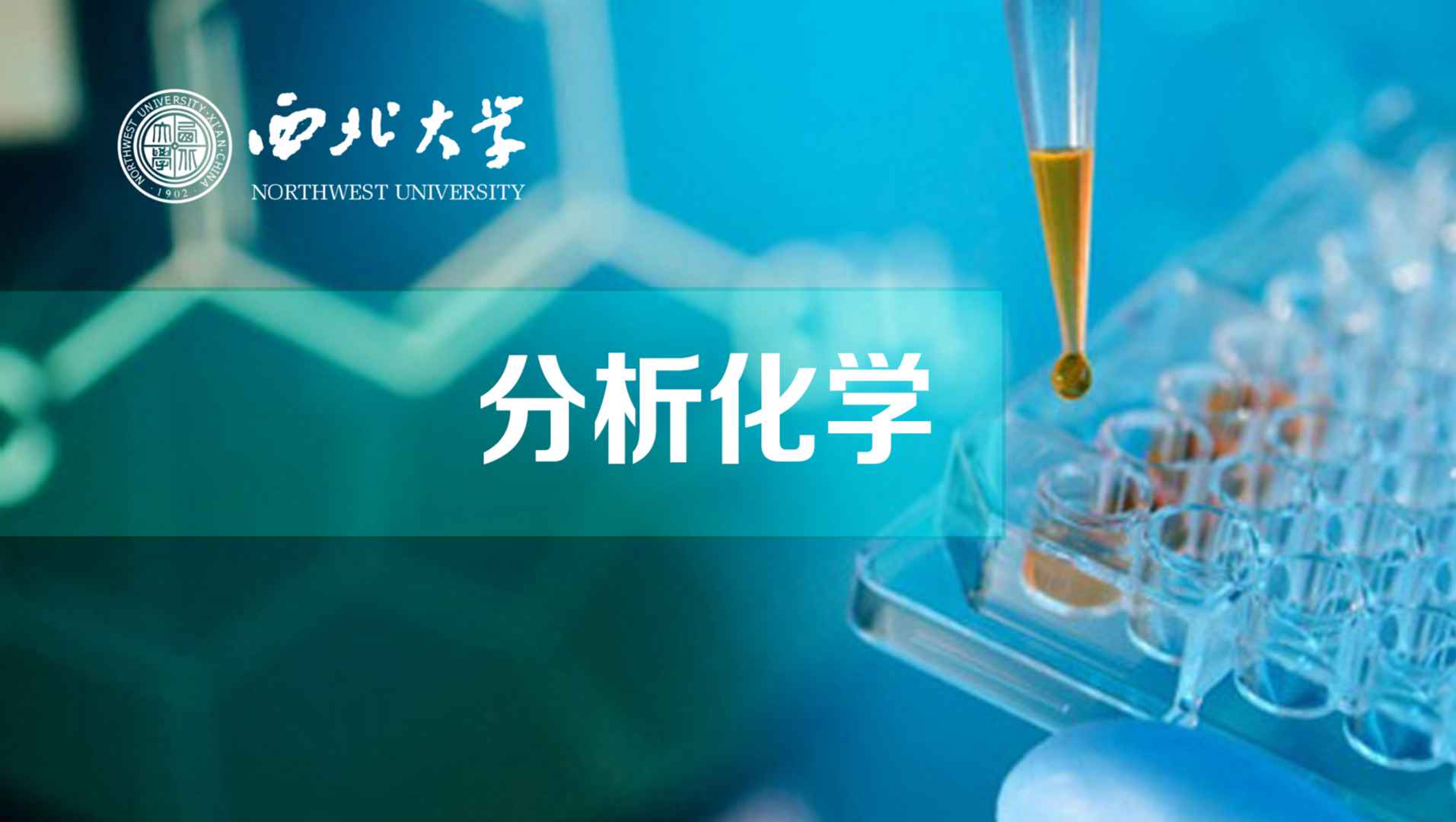 《分析化学》PPT课件 郭艳丽  西北大学