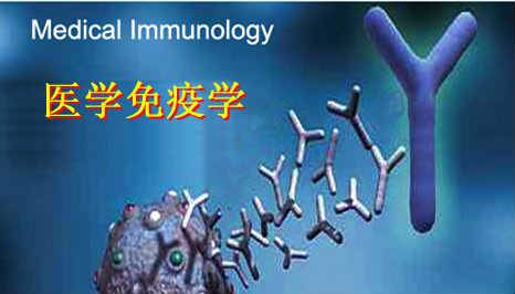 《医学免疫学》PPT课件 司传平 济宁医学院