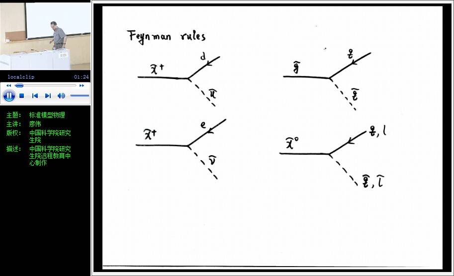 标准模型物理视频教程 廖伟 中科院