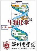 医学生物化学视频教程 温州医学院