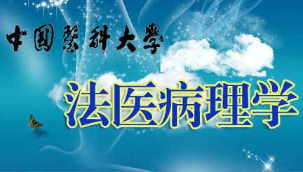 《法医病理学》PPT课件 官大威 中国医科大学