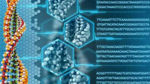 《分子生物学》PPT课件 罗杰 华中农业大学