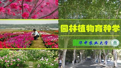 《园林植物育种学》PPT课件 包满珠 华中农业大学