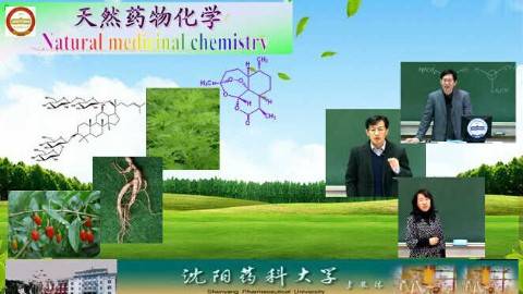 《天然药物化学》PPT课件 宋少江 沈阳药科大学