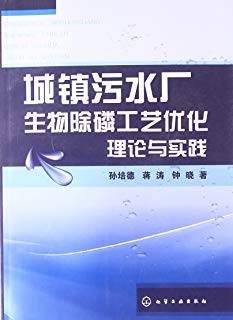 城镇污水厂生物除磷工艺优化理论与实践