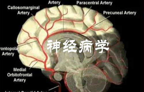 神经病学视频教程