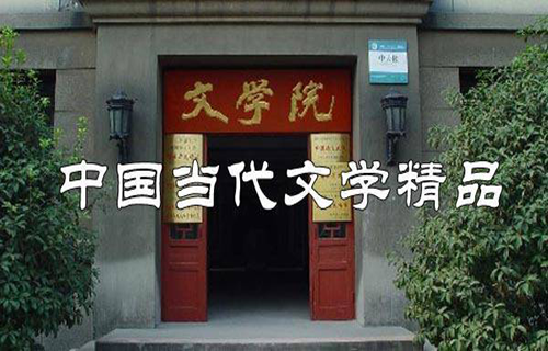 中国当代文学精品