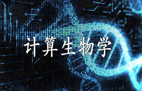 计算生物学