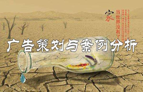 广告策划与案例分析