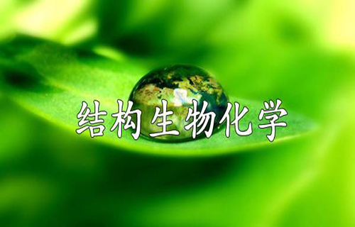 结构生物化学