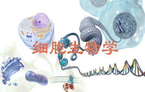 细胞生物学视频教程