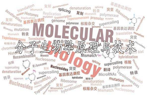 分子生物学原理与技术