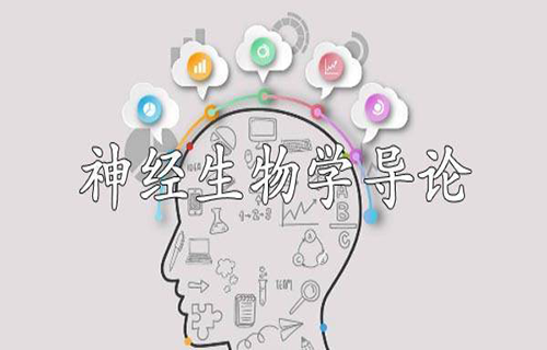 神经生物学导论